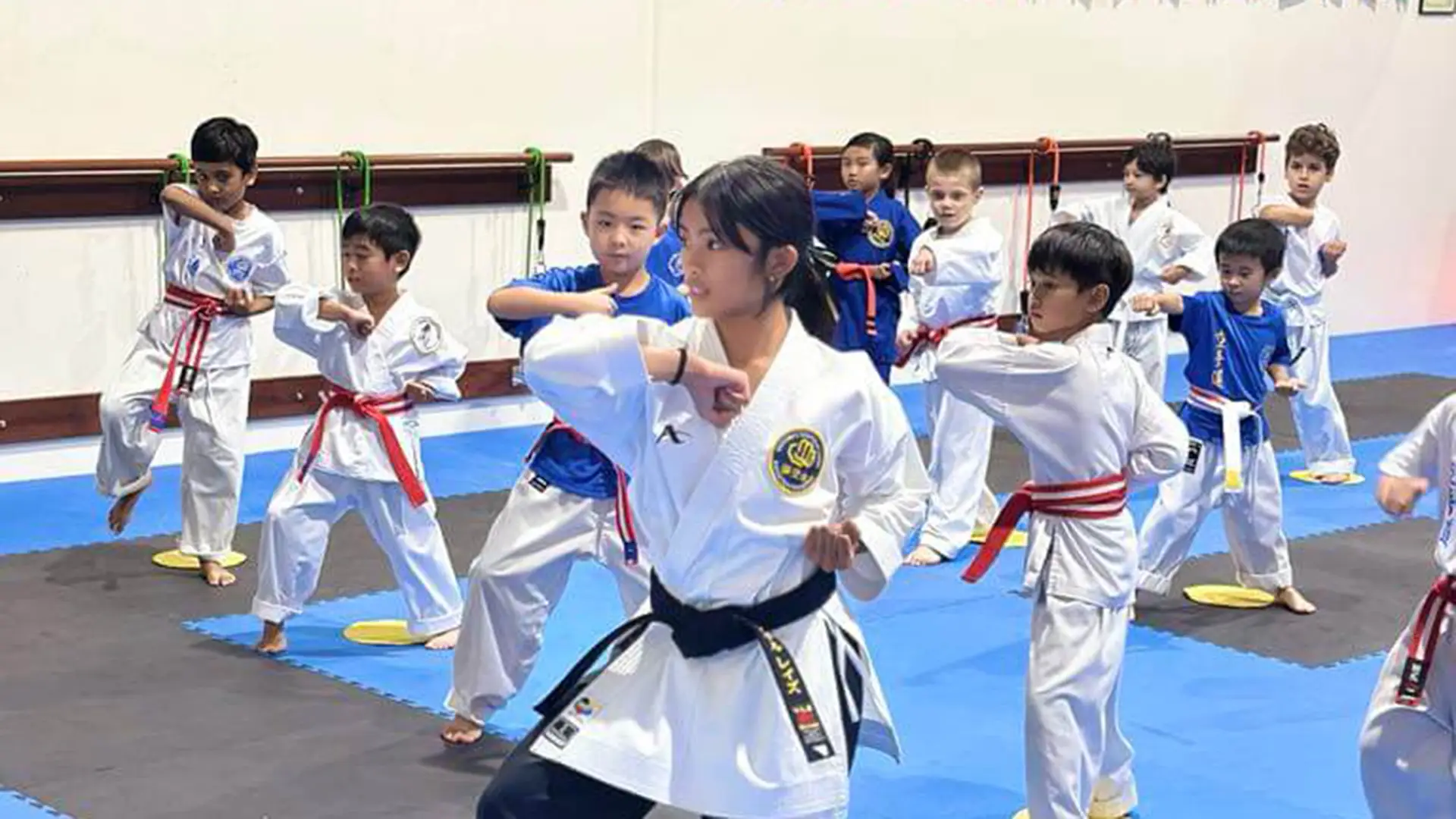 Cubs Classes